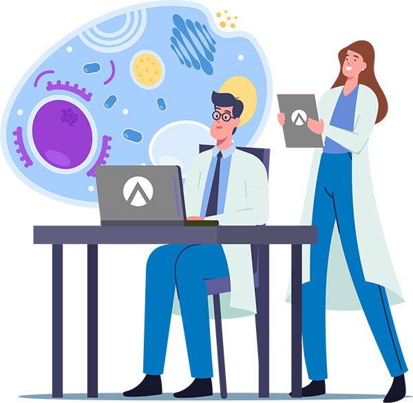 DSL Academy DSL Academy